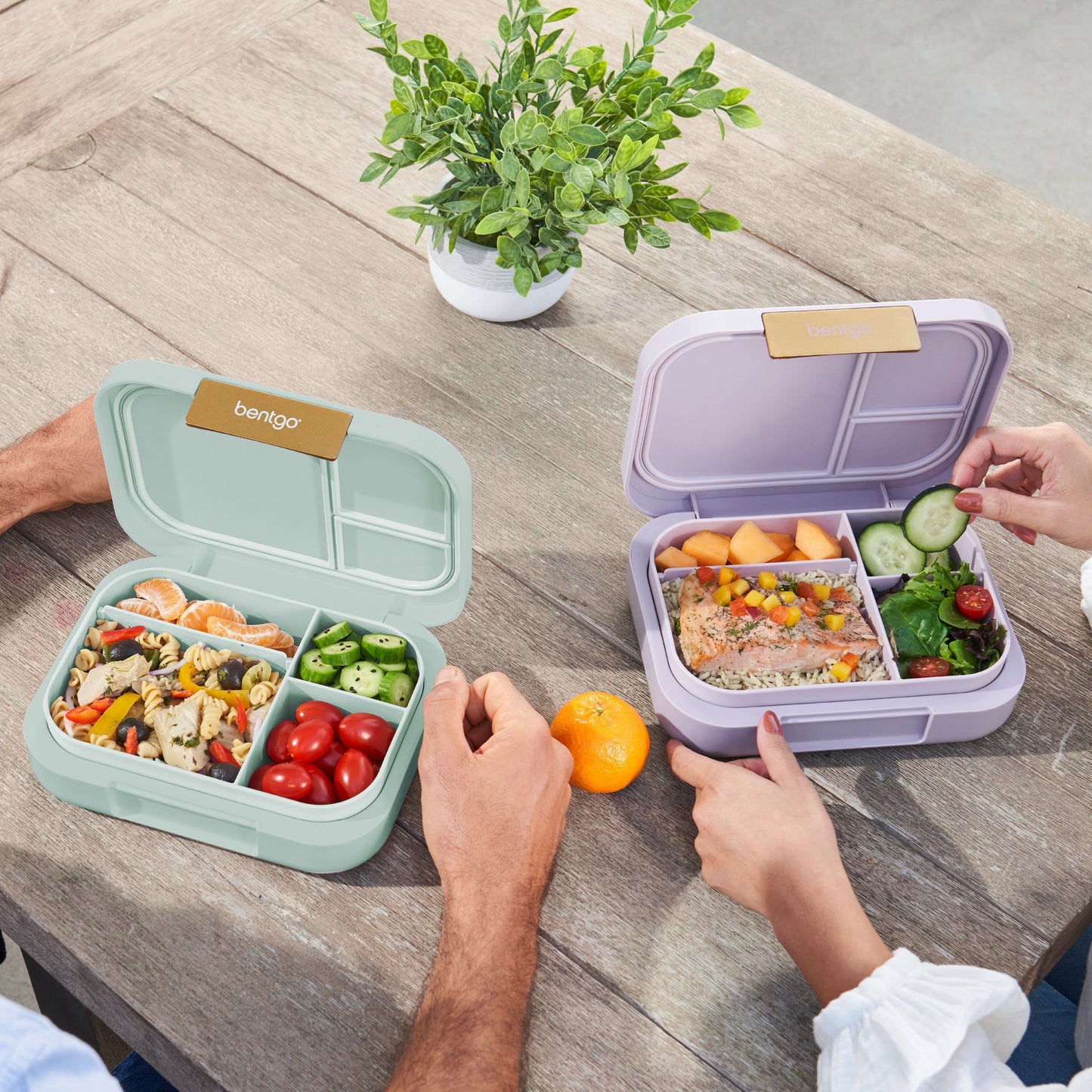 bentgo-modern-lunch-box-2-pack-k8 COSTCOBMCPRODUCTIMAGE_2.jpg